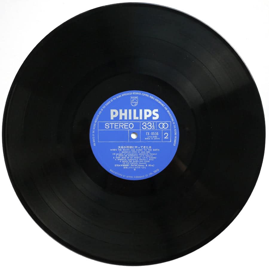 STRAWBERRY PATH – When The Raven Has Come To The Earth - Image 6