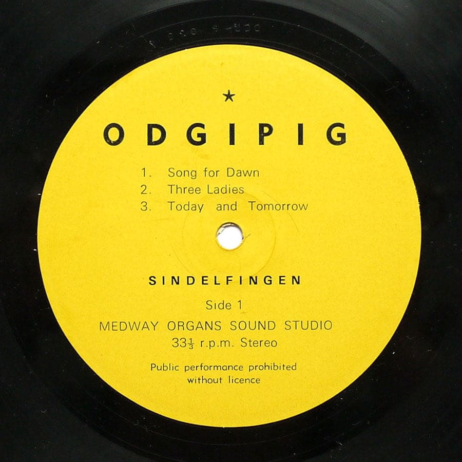 SINDELFINGEN - Odgipig - Image 4