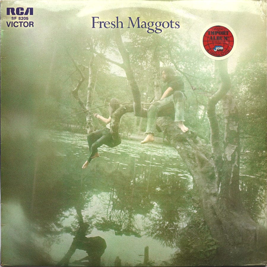 FRESH MAGGOTS - Fresh Maggots