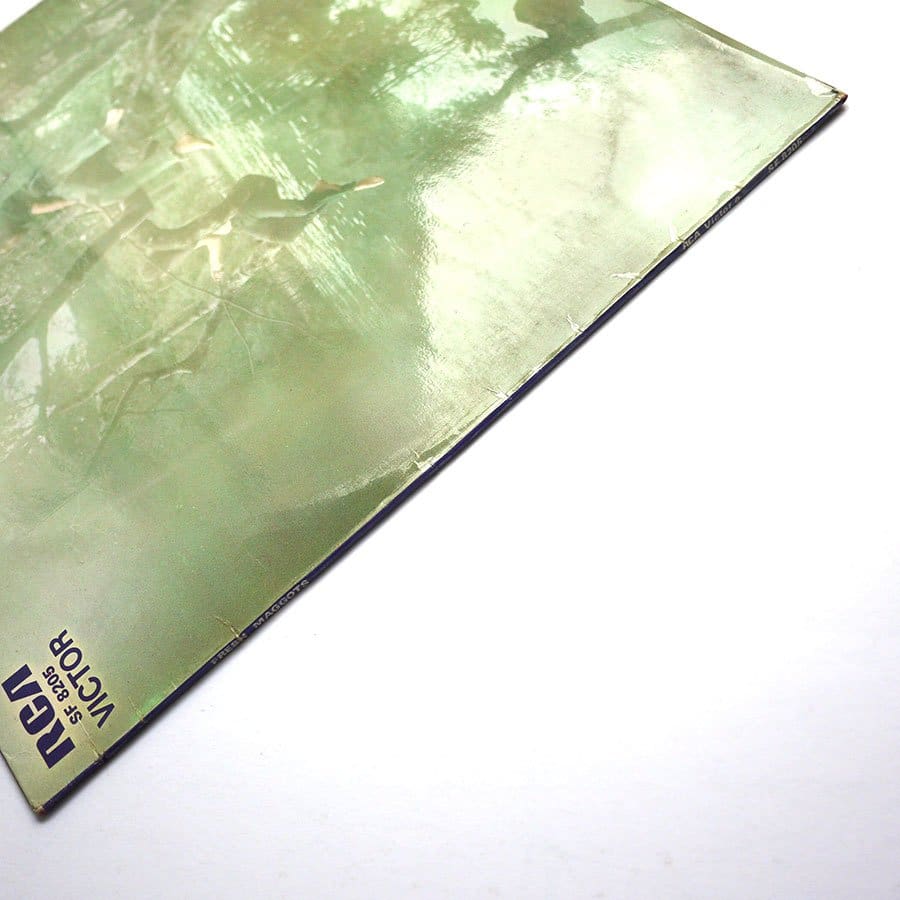 FRESH MAGGOTS - Fresh Maggots - Image 7