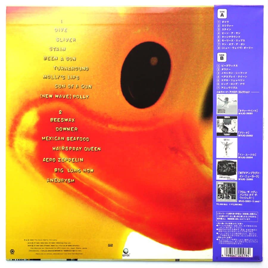 NIRVANA - Incesticide - Image 2