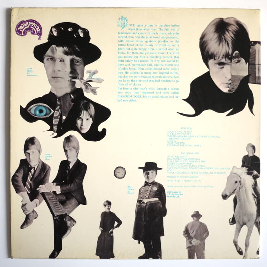 BLOSSOM TOES - We Are Ever So Clean - Image 2