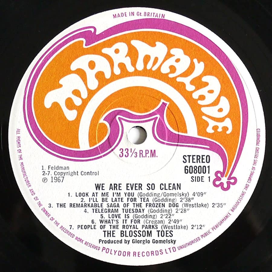 BLOSSOM TOES - We Are Ever So Clean - Image 6