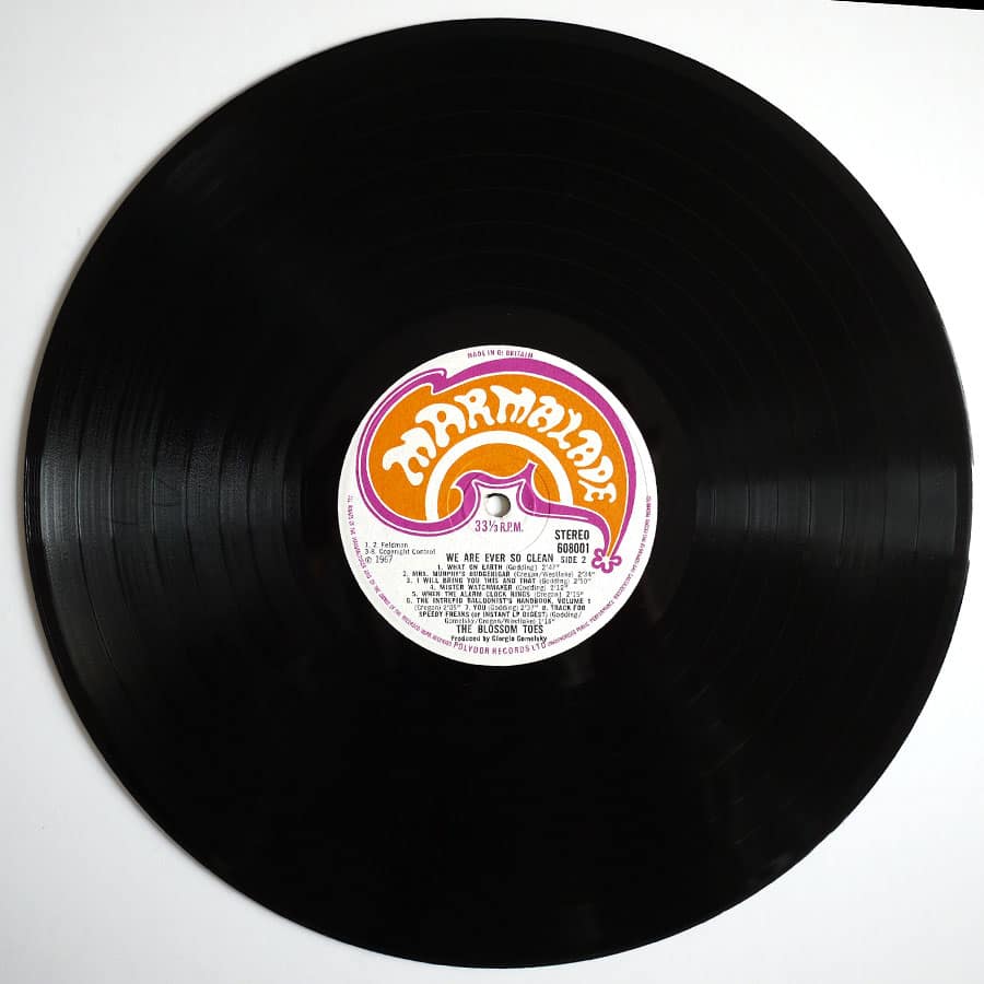 BLOSSOM TOES - We Are Ever So Clean - Image 7